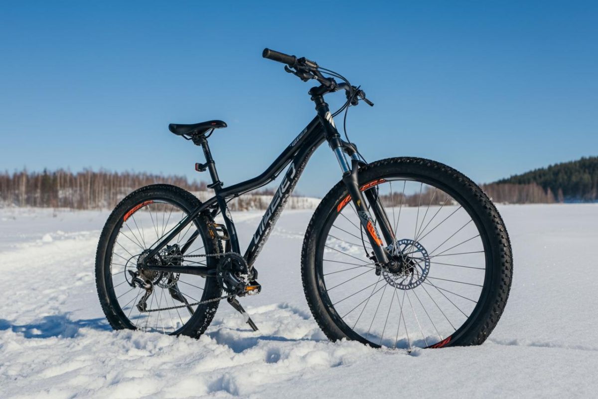 bici-neve-reteriservealpiledrensi.tn.it