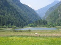 La Rete di riserve Alta Val di Non: tutela dell’ambiente e sviluppo sostenibile del territorio