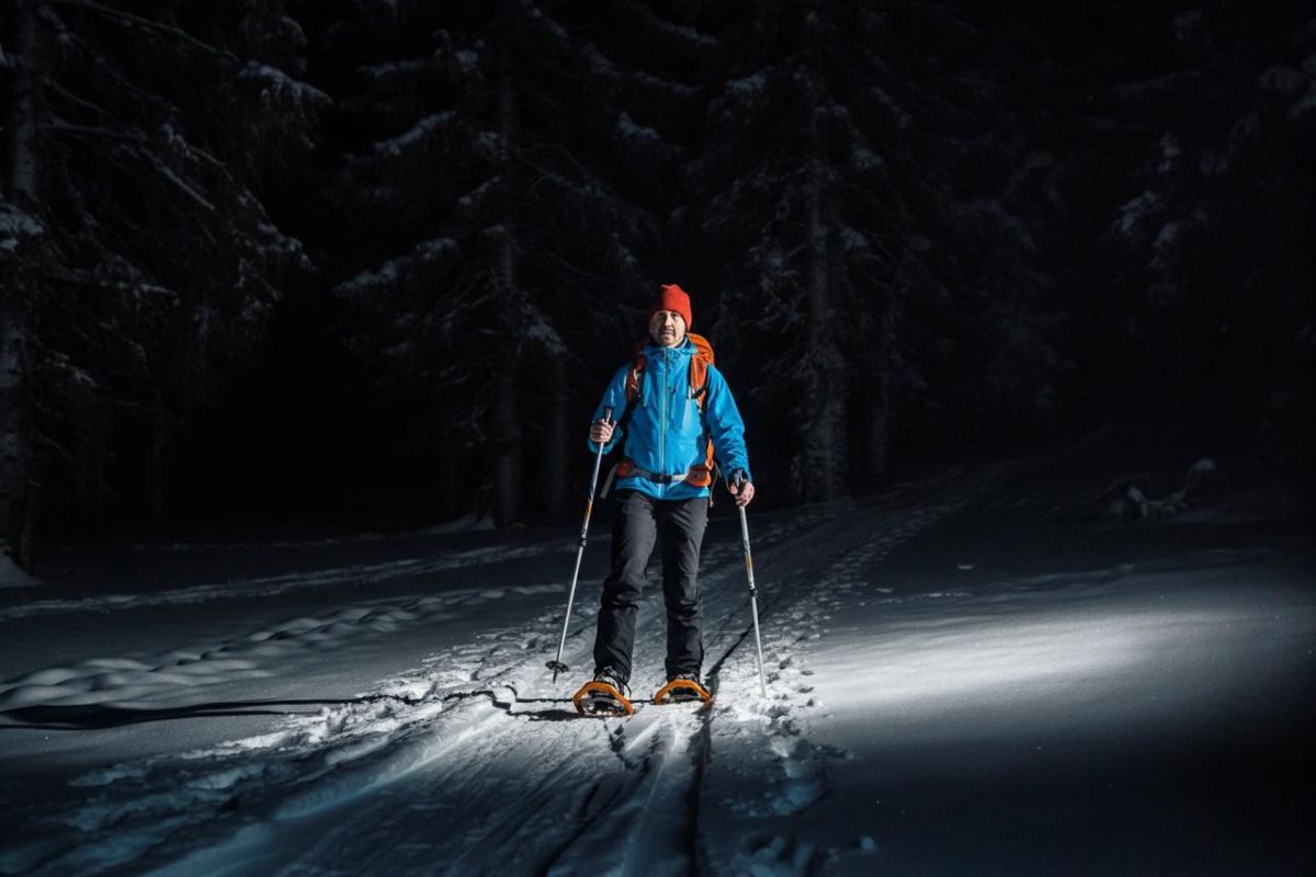 9407_1_ciaspolare_di__notte