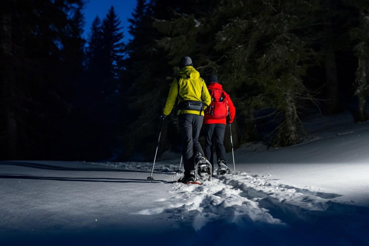 ciaspole-reteriservealpiledrensi.tn.it