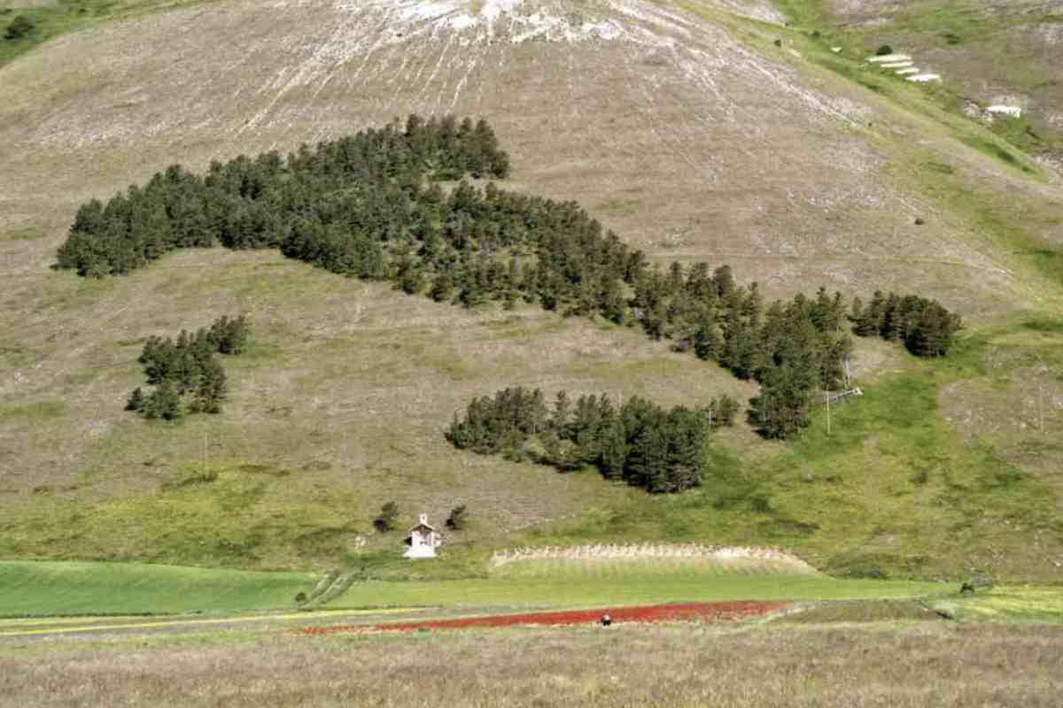 Il Regno d’Italia, proclamato il 17 marzo 1861, segnò la fine del lungo processo risorgimentale che unificò una penisola divisa e frammentata.