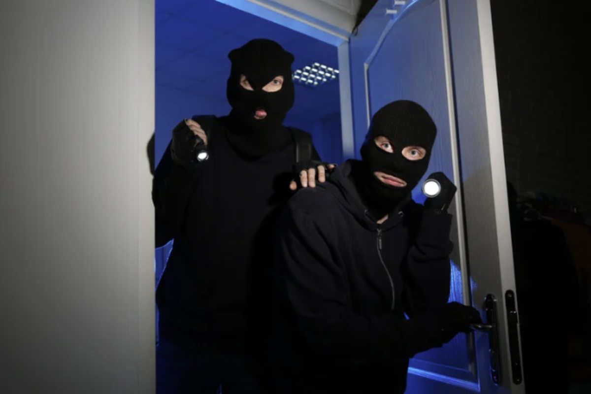 Attraverso analisi di interviste a ex ladri, studi di intelligence e recenti episodi di cronaca, emerge un quadro chiaro e dettagliato