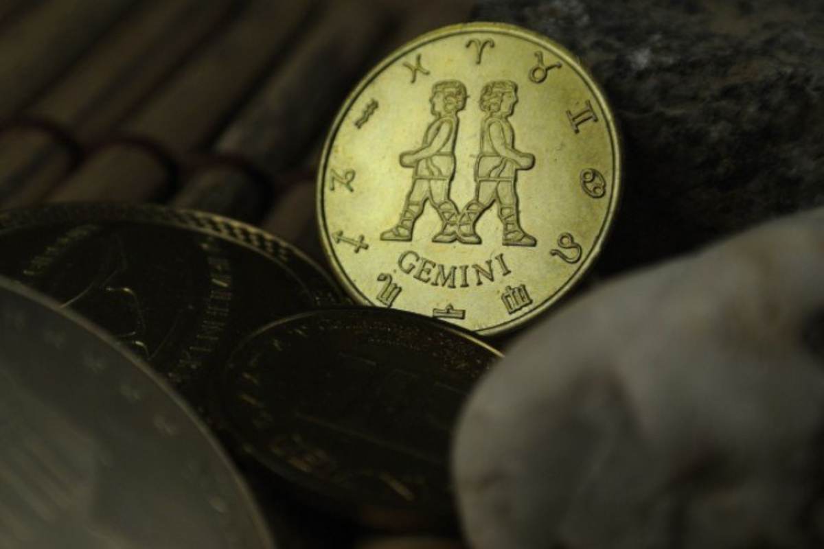 Gemelli, ricchezza