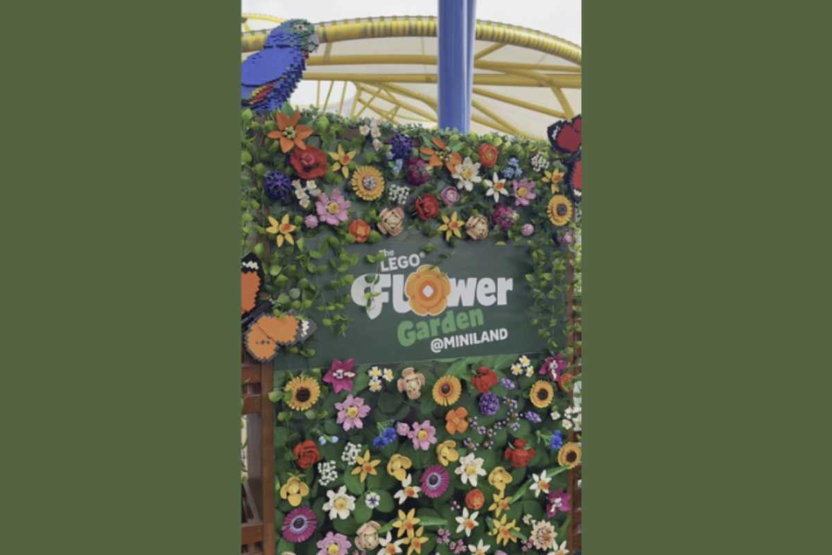 Questa attrazione non è solo un luogo di svago, ma si inserisce in un contesto più ampio di promozione culturale e artistica.