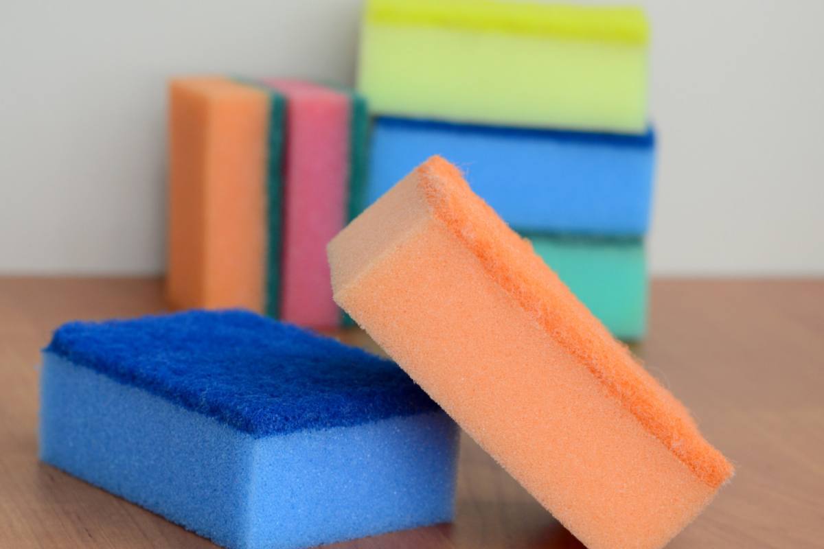 Spugne da cucina