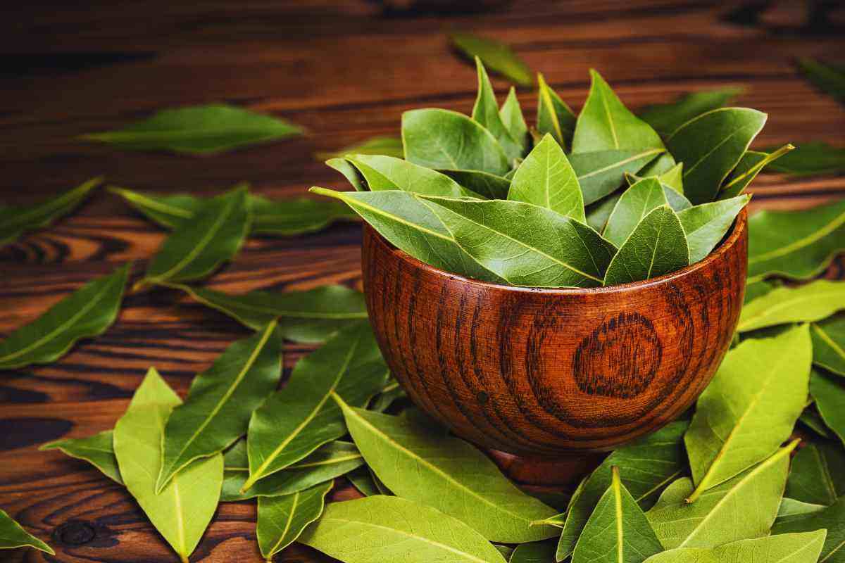 basta un ingrediente che hai già in cucina e spariranno definitivamente i cattivi odori