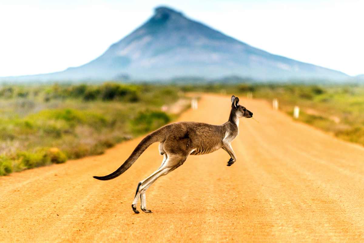 All'aria aperta e tante escursioni tendenze viaggio 2026