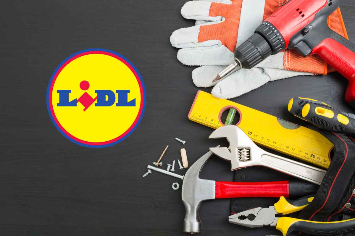 attrezzi lavoro logo lidl