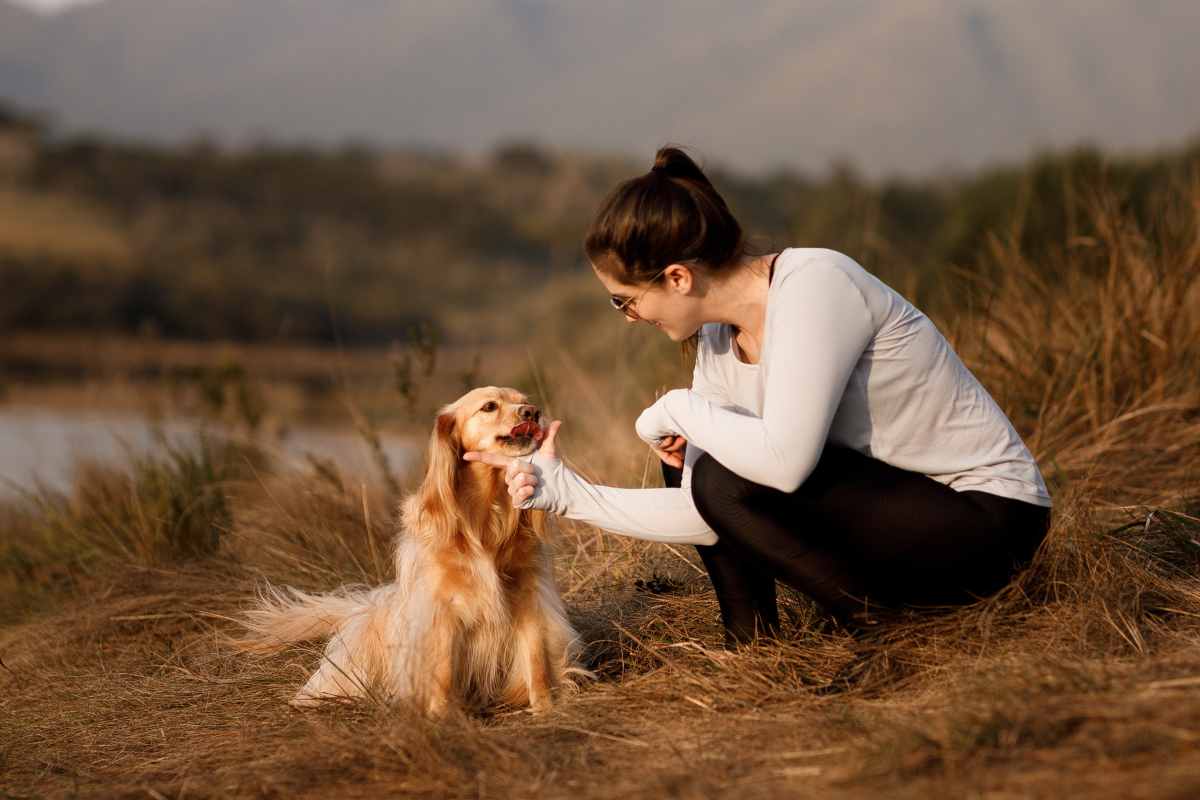 Prima di prendere un animale domestico, calcola quanto ti costerÃ