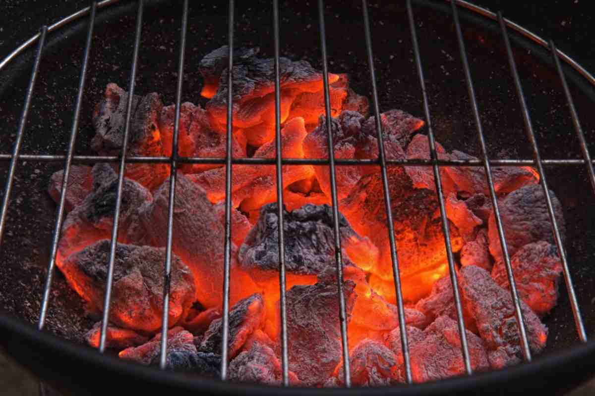griglia del barbecue