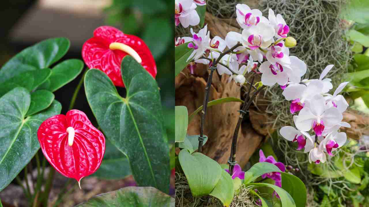 Regali di Natale last minute