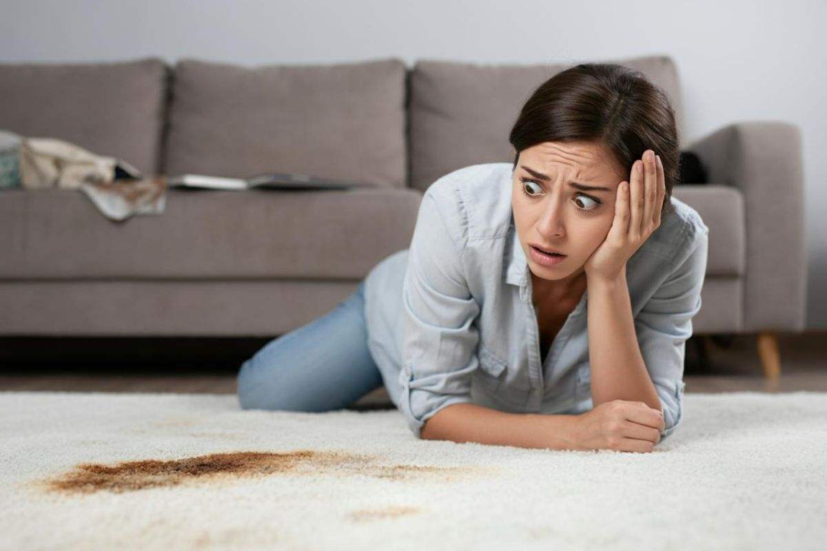 smacchiare tappeti tutorial