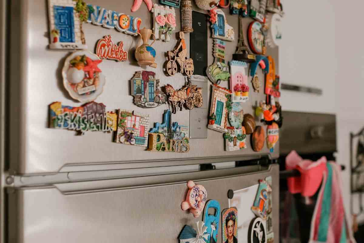 calamite frigo pericolo attenzione