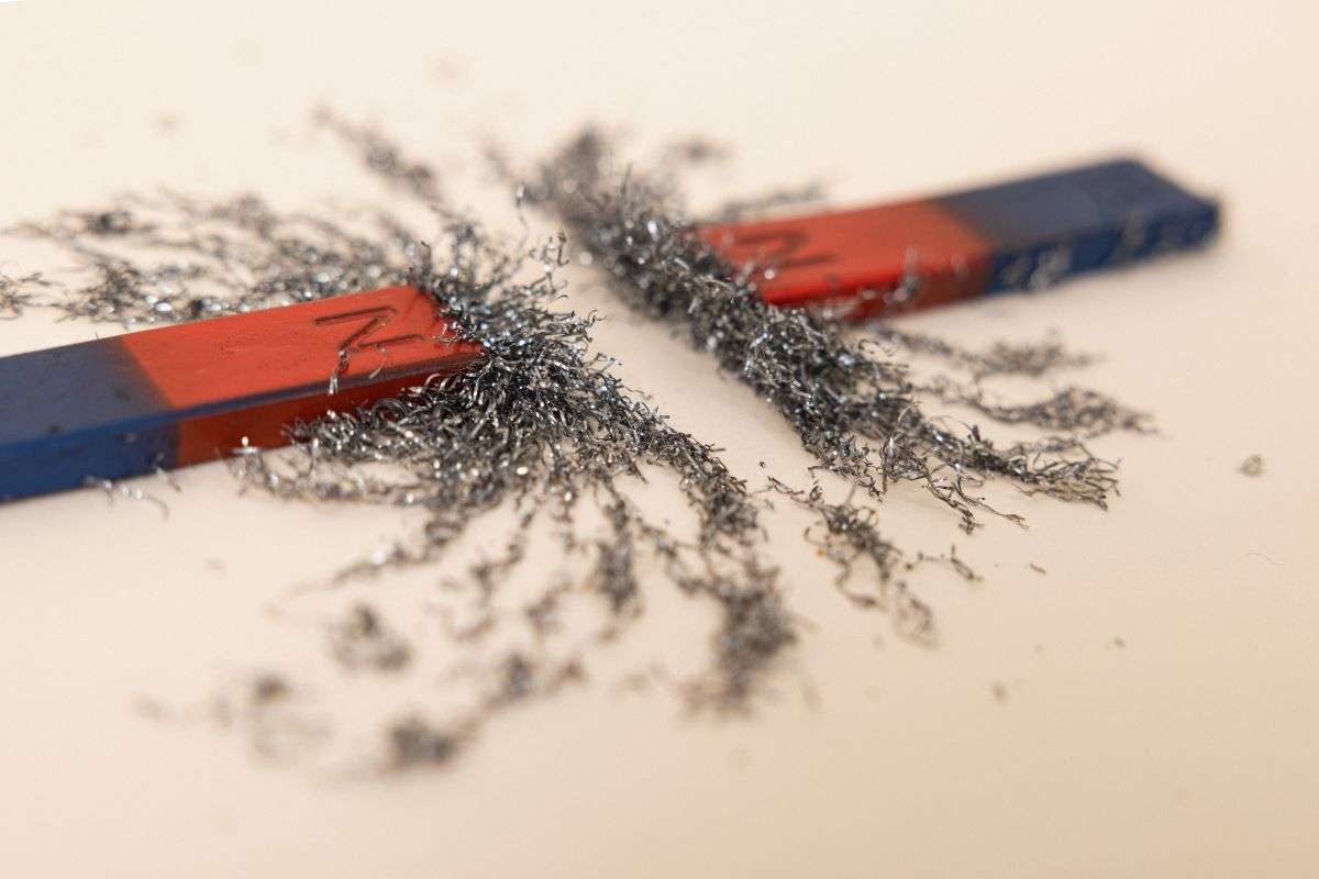 calamite frigo campo magnetico