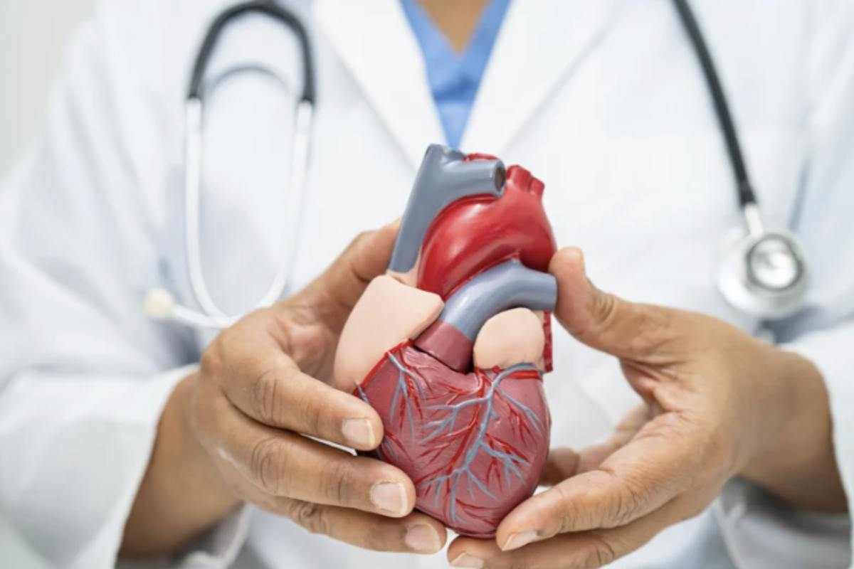 Chi si occupa da anni di cardiologia lo ripete sempre più spesso