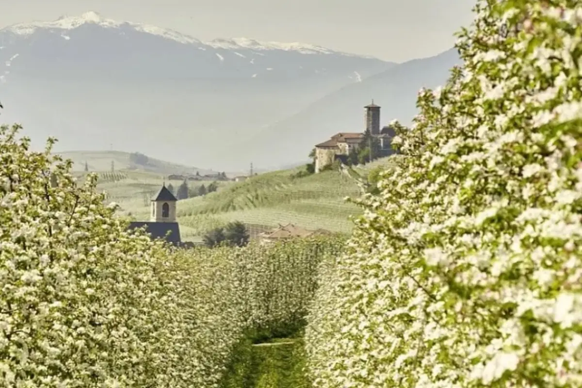 Sembra il Giappone ma in Trentino