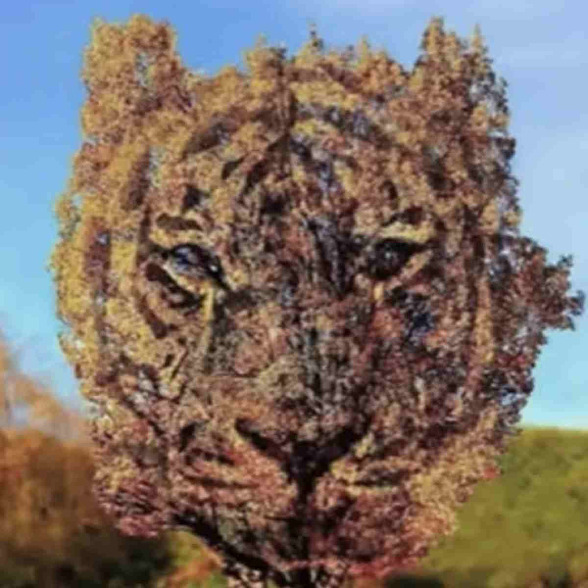 test psicologico dice che persona sei