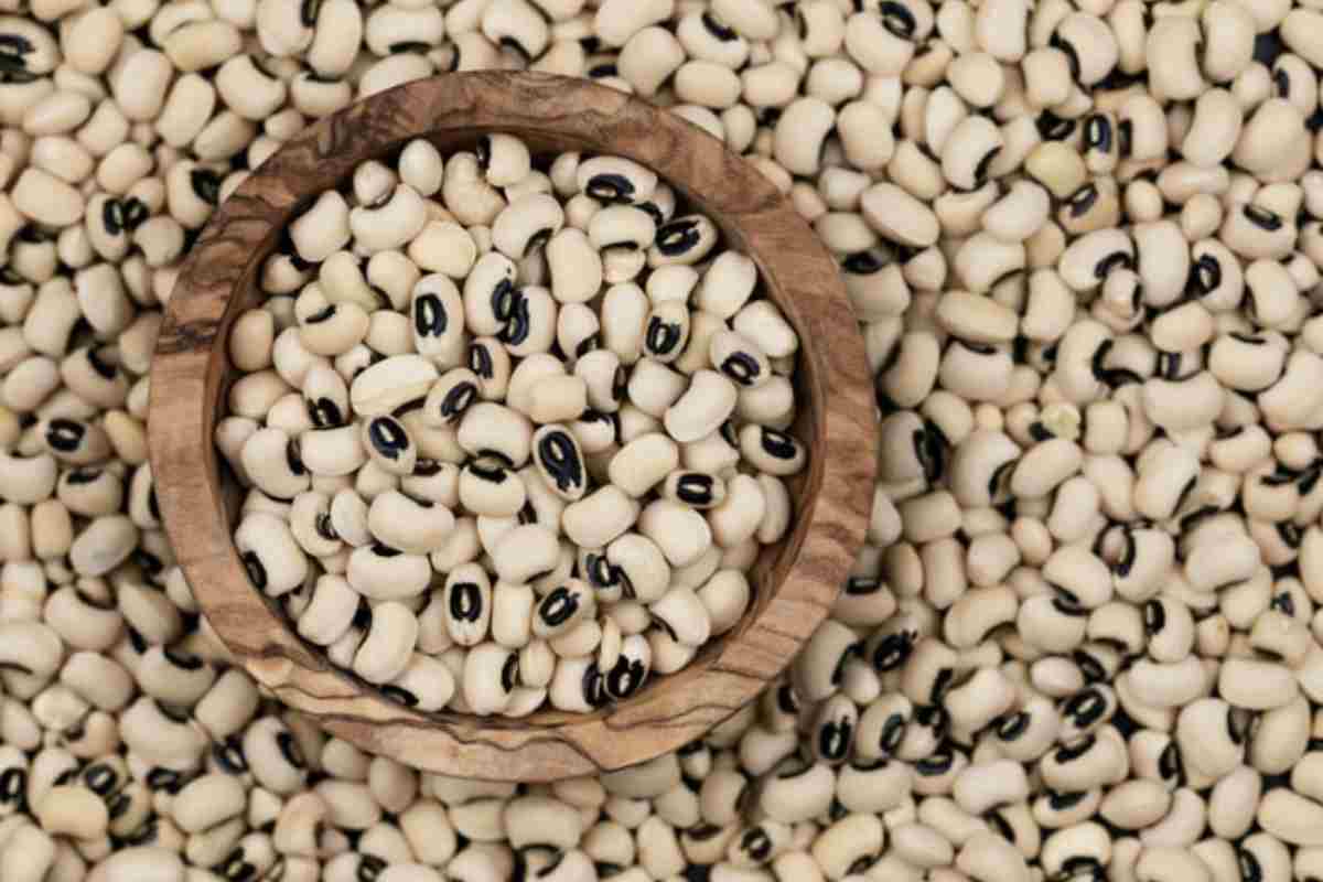 Nonostante i benefici evidenti, il fagiolo dall’occhio continua a essere poco presente sulle tavole italiane. Le ragioni sono in parte culturali